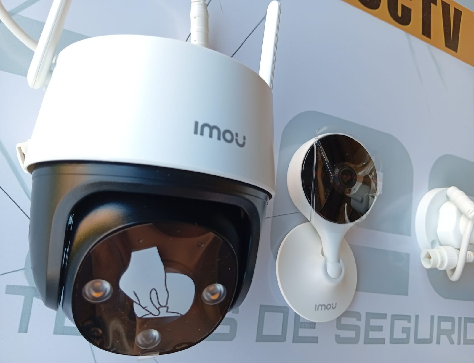 Seguridad profesional